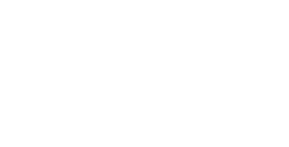 Developer